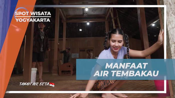 Menyelidiki Manfaat Air Tembakau untuk Mengusir Rayap dan Memperindah Warna Kayu di Yogyakarta  