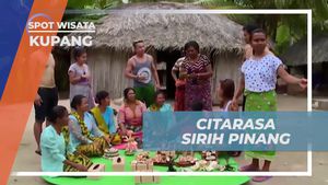 Mencicipi Rasa Sirih Pinang dan Melestarikan Tradisi Wanita di Kupang  