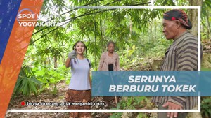 Berburu Tokek Bersama Warga dan Mengatasi Rasa Takut di Yogyakarta  