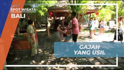 Bermain dan Bersenda Gurau dengan Gajah di Bali Safari, Bali 