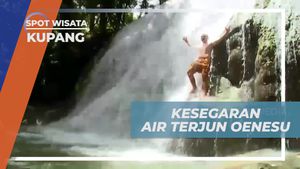 Merasakan Kesegaran Air Terjun dan Melakukan Lompat dari Tepian di Kupang  