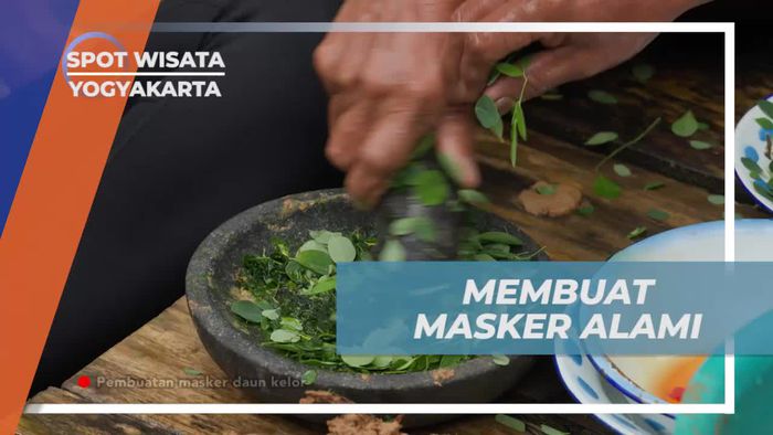 Membuat Masker Alami dari Daun Kelor dan Madu di Yogyakarta  