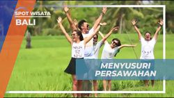 Menikmati Keindahan Persawahan di Ubud Bali dan Menyaksikan Pemandangan Hijau yang Menenangkan  