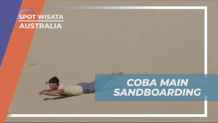 Menantang Adrenalin dengan Bermain Sandboarding di Gurun Pasir Tangalooma Island, Australia  