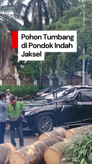 Video: Pohon Tumbang Timpa Mobil di Pondok Indah, Pengemudi Tewas