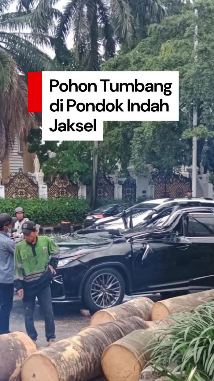 Video: Pohon Tumbang Timpa Mobil di Pondok Indah, Pengemudi Tewas