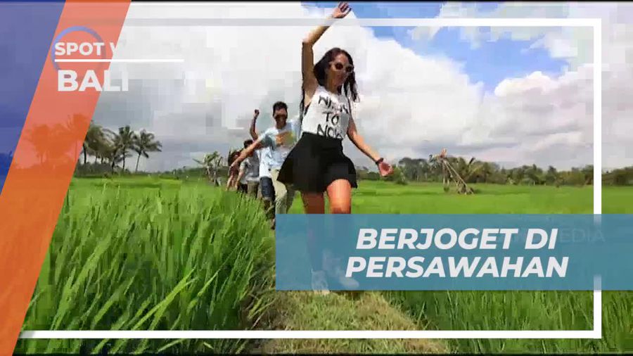 Berjalan Melalui Pematang Sawah dan Menari di Tengah Sawah Saat Menuju Restoran di Bali  