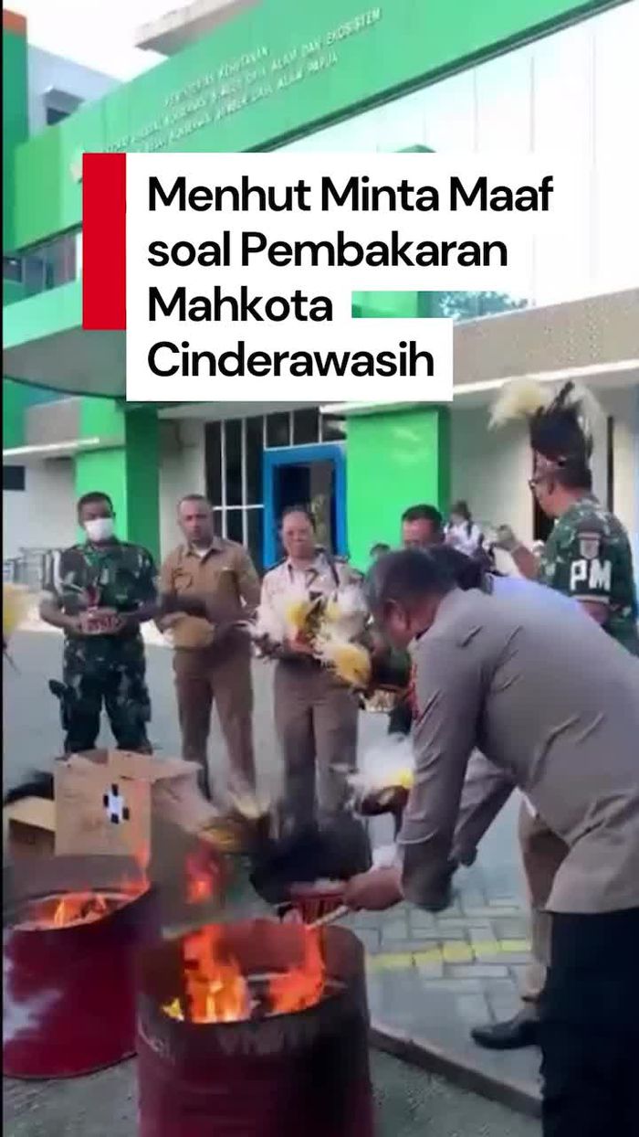 Video Menhut Minta Maaf Buntut Anak Buah Bakar Mahkota Cenderawasih