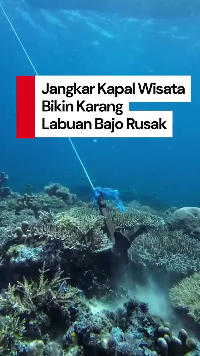 Video: Miris! Jangkar Kapal Wisata Rusak Karang di Labuan Bajo