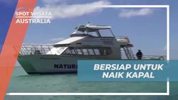 Bersiap Melakukan Perjalanan Kapal dan Menyaksikan Ikan Paus di Australia  