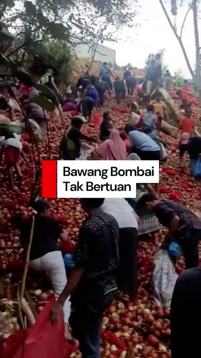 Video: Heboh Warga Serbu Bawang Bombai Tak Bertuan di Batam