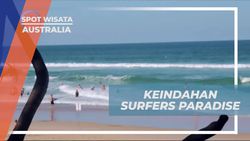 Menyaksikan Pesona Surfers Paradise dan Berselancar di Pantai Australia  