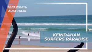 Menyaksikan Pesona Surfers Paradise dan Berselancar di Pantai Australia  