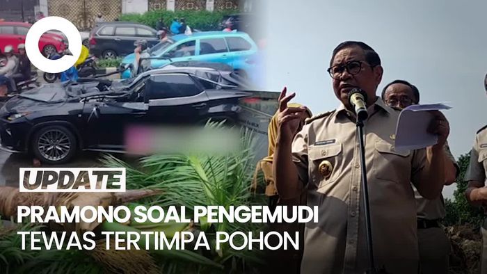 Video: Respons Pramono soal Pengemudi Tewas Tertimpa Pohon di Pondok Indah
