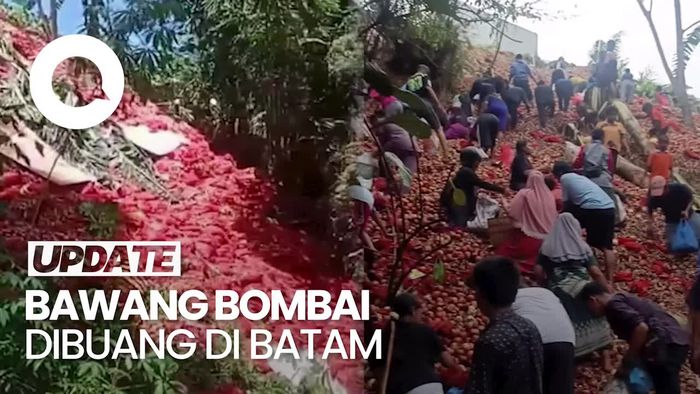 Video: Heboh Warga Serbu Bawang yang Dibuang, Karantina Kepri Buka Suara