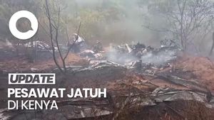 Video: Pesawat Mombasa Air Safari Jatuh di Kenya, 11 Tewas