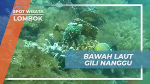 Menyelami Keindahan Bawah Laut Gili Nanggu yang Penuh Warna di Lombok  