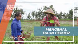 Mengenal Keindahan Daun Genjer di Desa Banyubiru, Semarang  