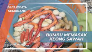 Menyiapkan Bumbu untuk Memasak Keong Sawah di Desa Banyubiru, Semarang  