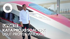 Video Projo Soal KPK Usut Whoosh: Jika Ada Pelanggaran Silakan Proses