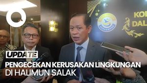 Video: KLH Bakal Cek Kerusakan Lingkungan di Halimun Salak Akibat Tambang