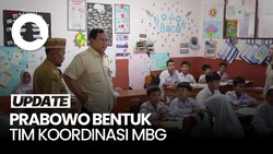 Video Dadan Hindayana Jelaskan Beda Tugas BGN dan Tim Koordinasi MBG