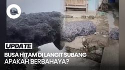Video: Dugaan Asal-usul Busa Hitam Jatuh di Permukiman Warga Subang Video: Dugaan Asal-usul Busa Hitam Jatuh di Permukiman Warga Subang