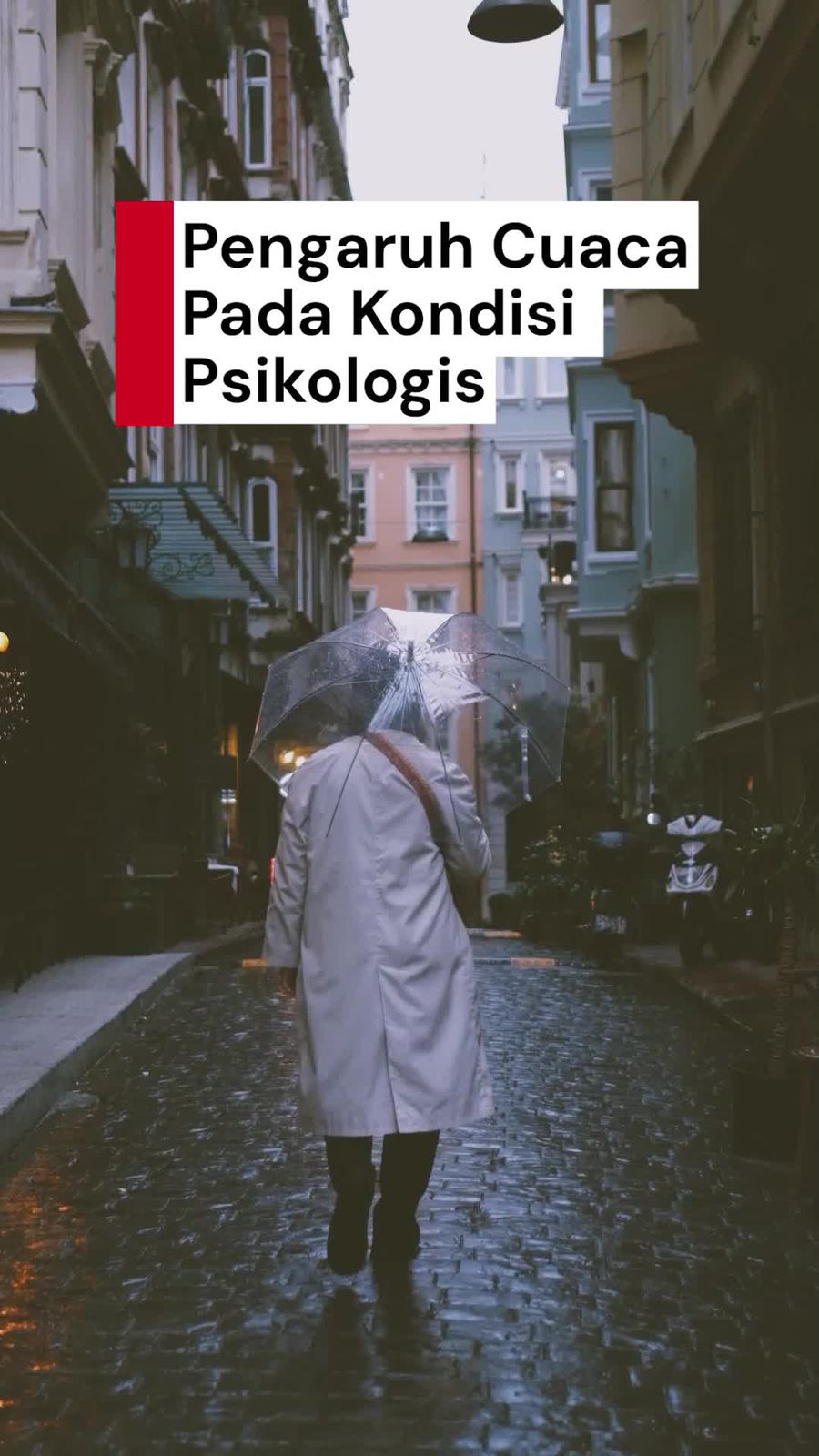 Video Mungkin Nggak Sih Kondisi Cuaca Menentukan Mood? Ini Kata Psikolog Video Mungkin Nggak Sih Kondisi Cuaca Menentukan Mood? Ini Kata Psikolog
