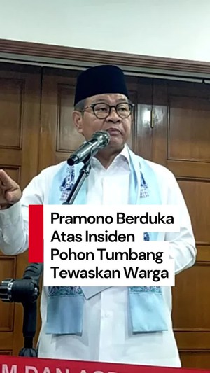 Video: Pramono Berduka Pohon Tumbang Tewaskan Warga di Dharmawangsa Jaksel