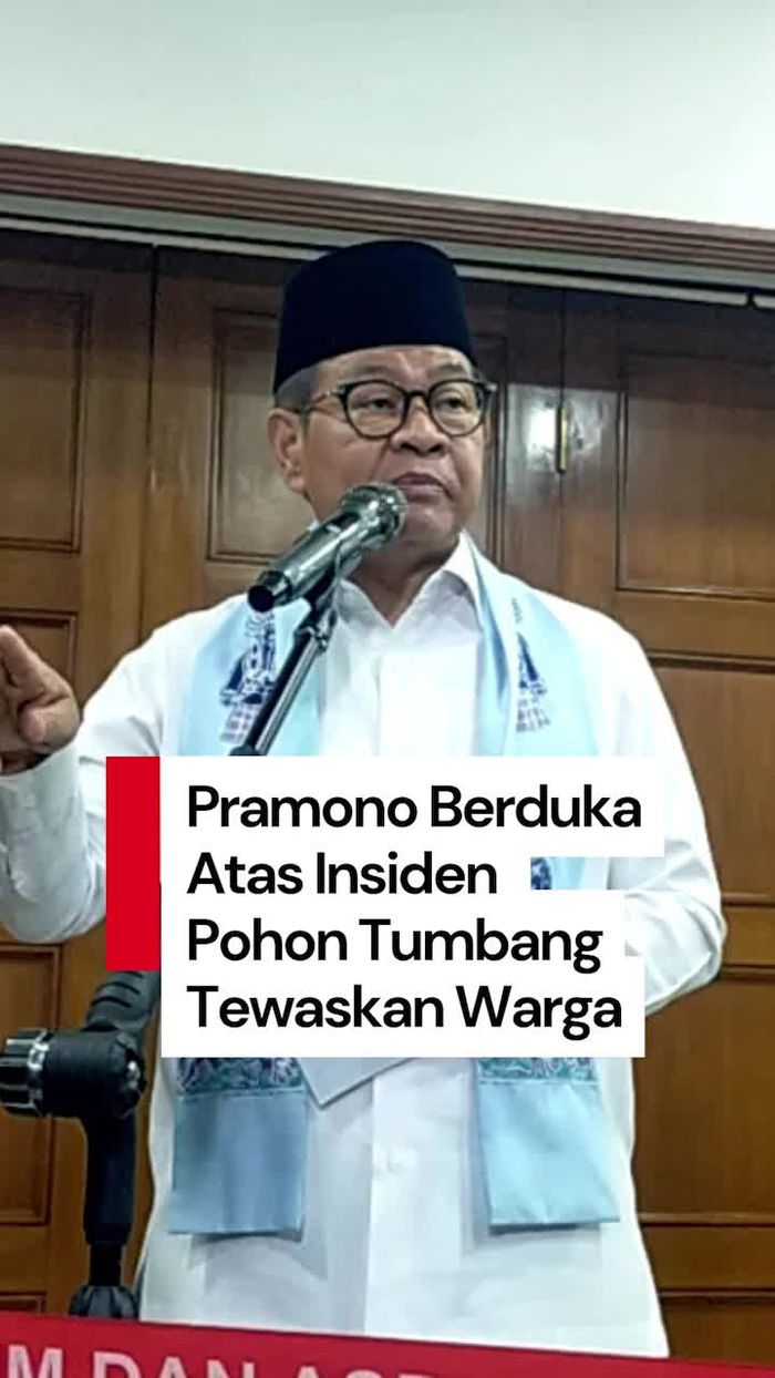 Video: Pramono Berduka Pohon Tumbang Tewaskan Warga di Dharmawangsa Jaksel