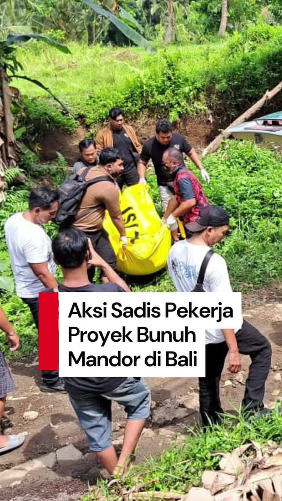 Video: Aksi Sadis 3 Pekerja Bunuh Mandor di Bali, Leher Korban Digergaji Video: Aksi Sadis 3 Pekerja Bunuh Mandor di Bali, Leher Korban Digergaji