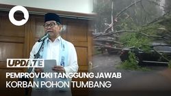 Video: Pramono Pastikan Pemprov DKI Tanggung Kerugian Korban Pohon Tumbang Video: Pramono Pastikan Pemprov DKI Tanggung Kerugian Korban Pohon Tumbang