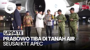 Video Prabowo Tiba di RI Setelah Selesai Menghadiri KTT APEC di Korsel