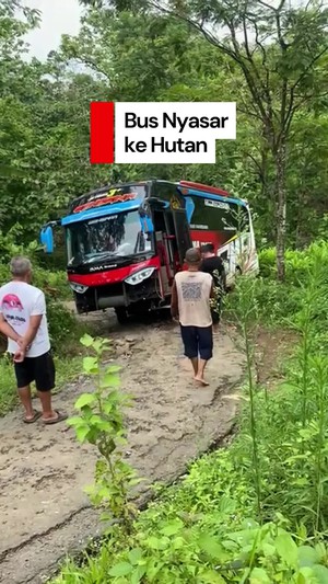 Video: Heboh Bus Peziarah Nyasar di Hutan Pati gegara Ikuti Google Maps