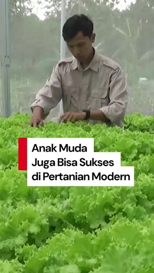 Video: Petani Muda Lumajang Raup Cuan dari Program Makan Bergizi Gratis