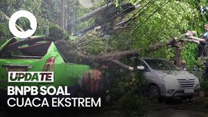 Video: Cuaca Ekstrem, BNPB Minta Pemda Cek Pohon-Papan Reklame