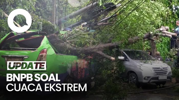 Video: Cuaca Ekstrem, BNPB Minta Pemda Cek Pohon-Papan Reklame