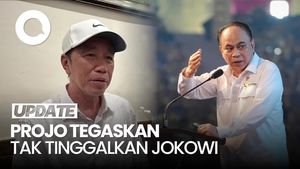 Video: Bakal Ganti Logo, Projo Bantah Tinggalkan Jokowi