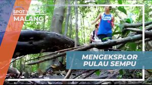 Eksplorasi Pulau Sempu yang Asri dan Menyenangkan di Malang  