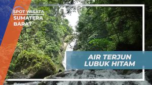 Menyaksikan Keindahan dan Segarnya Air Terjun Lubuk Hitam di Sumatera Barat  