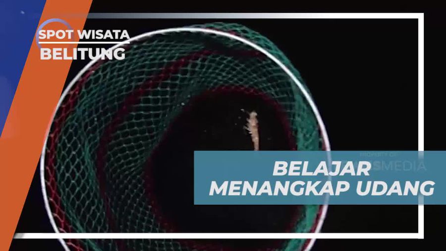 Belajar Menangkap Udang dengan Cahaya yang Tepat di Pantai Pulau Bayan, Belitung  