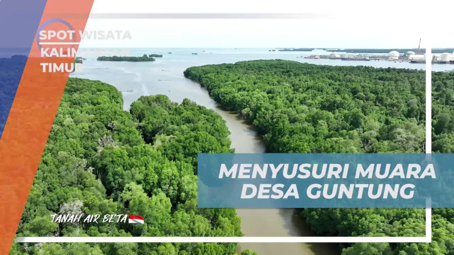 Menyusuri Keindahan Muara Desa Guntung di Kalimantan Timur  