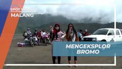 Menyelami Keindahan Alam Gunung Bromo yang Menakjubkan di Malang  