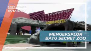 Eksplorasi Keseruan di Batu Secret Zoo, Kota Batu  