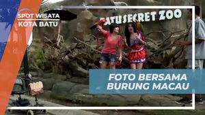 Berfoto Bersama Burung Macau yang Eksotis di Kota Batu  