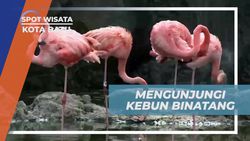 Menjelajahi Kebun Binatang Batu Secret Zoo yang Menggemaskan di Kota Batu  