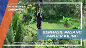 Memasang Panjer Kiling Tinggi Bersama Warga Banyuwangi yang Seru  