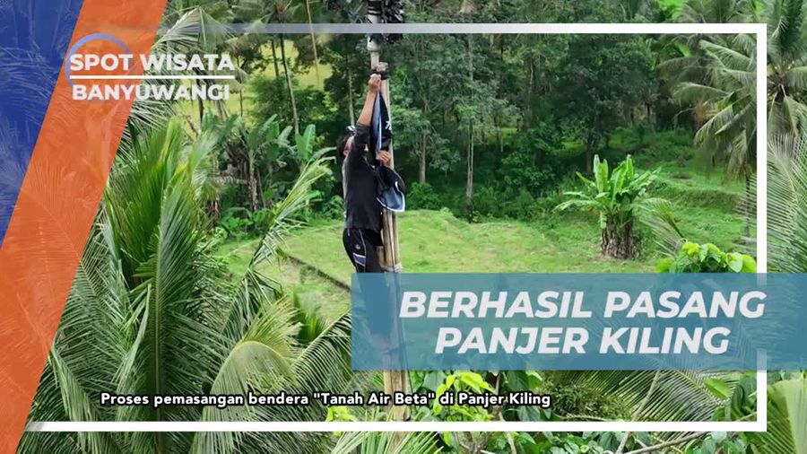 Memasang Panjer Kiling Tinggi Bersama Warga Banyuwangi yang Seru  