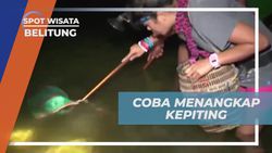 Mencoba Menangkap Kepiting di Tempat Khusus di Belitung  
