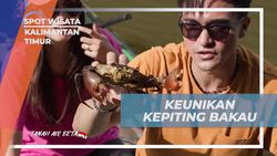 Mengetahui Keunikan Kepiting Bakau dengan Ciri Khusus di Kalimantan Timur  